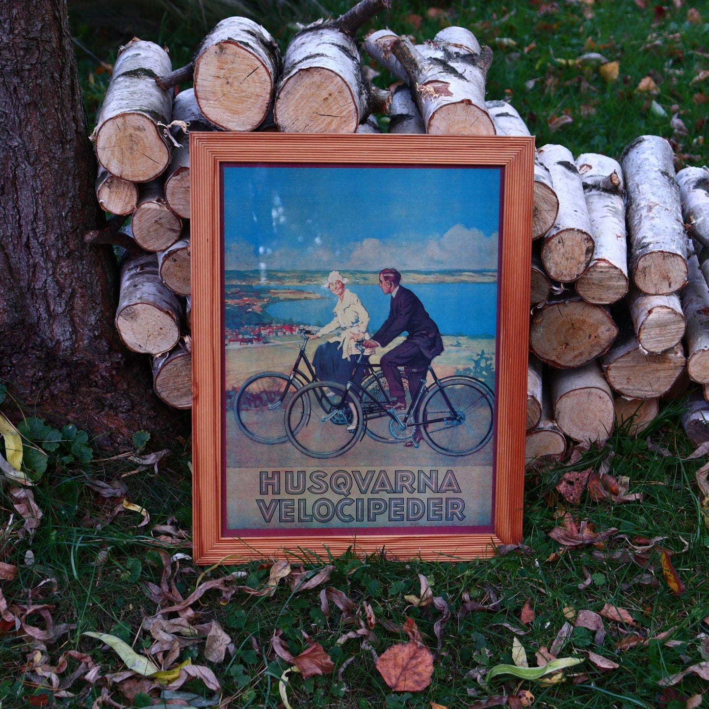 Husqvarna Velocipeder Poster