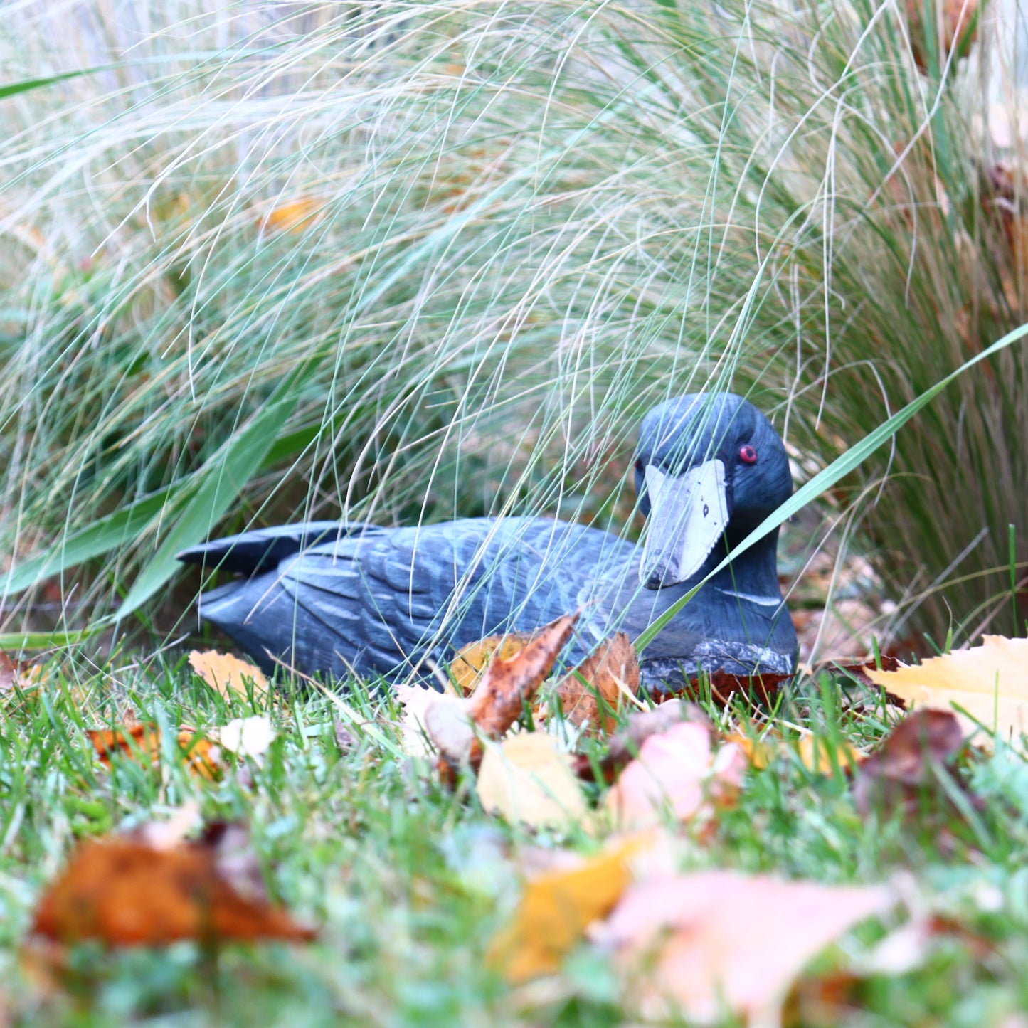 Wooden Duck Sculpture – Germany