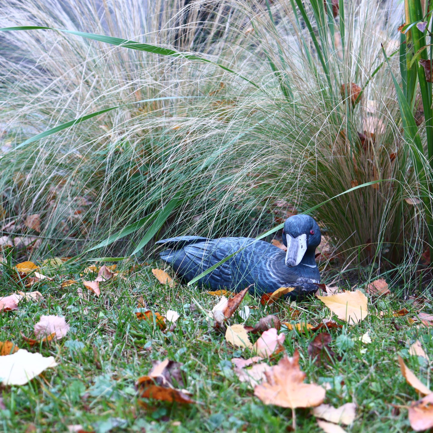 Wooden Duck Sculpture – Germany