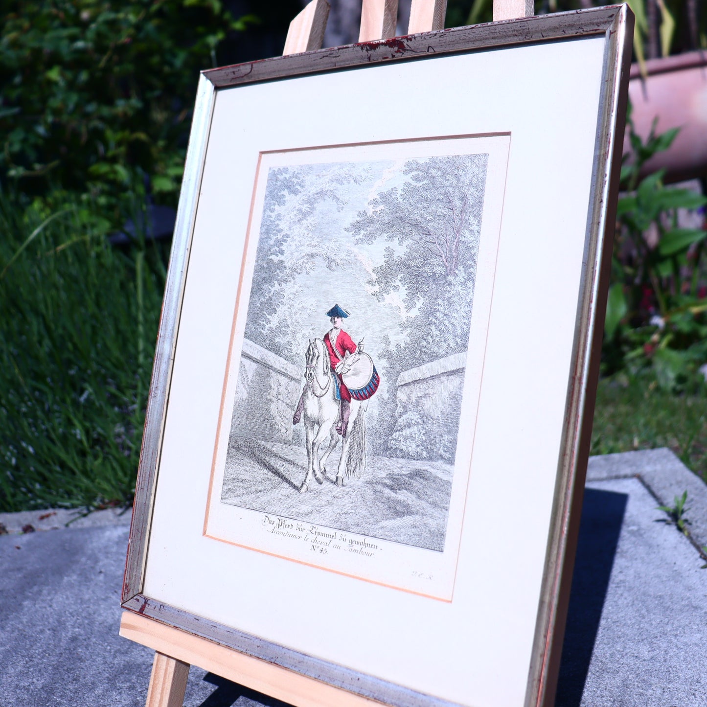 Set of 2 Antique Equestrian Prints – 19th Century Hand-Colored Lithographs After Ridinger, Framed Horse Art