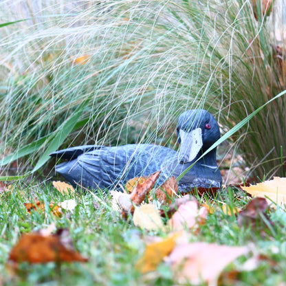 Wooden duck