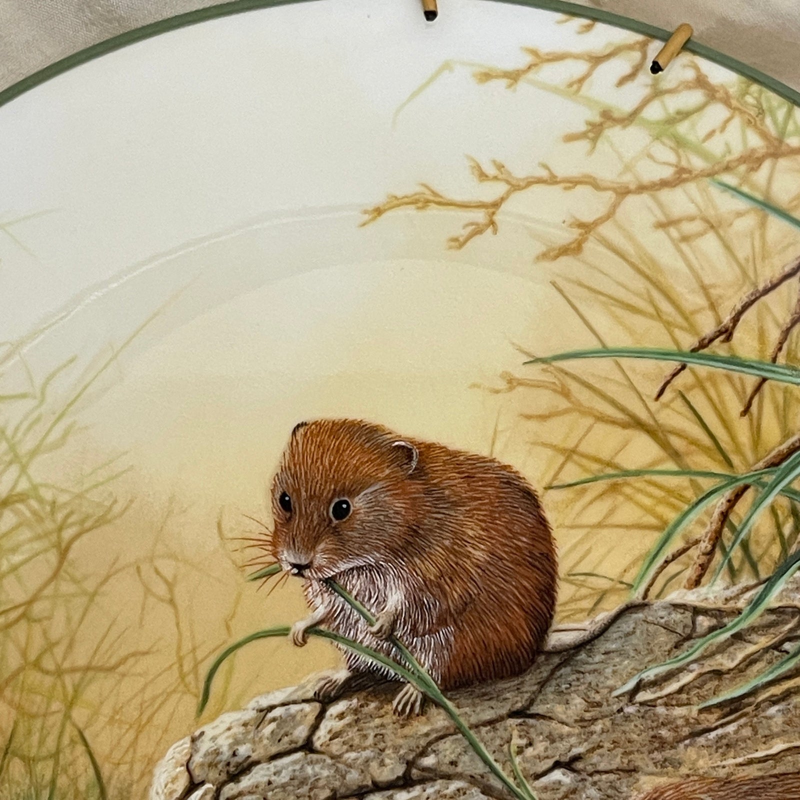 Illustration of a small brown rodent on a branch with a natural background