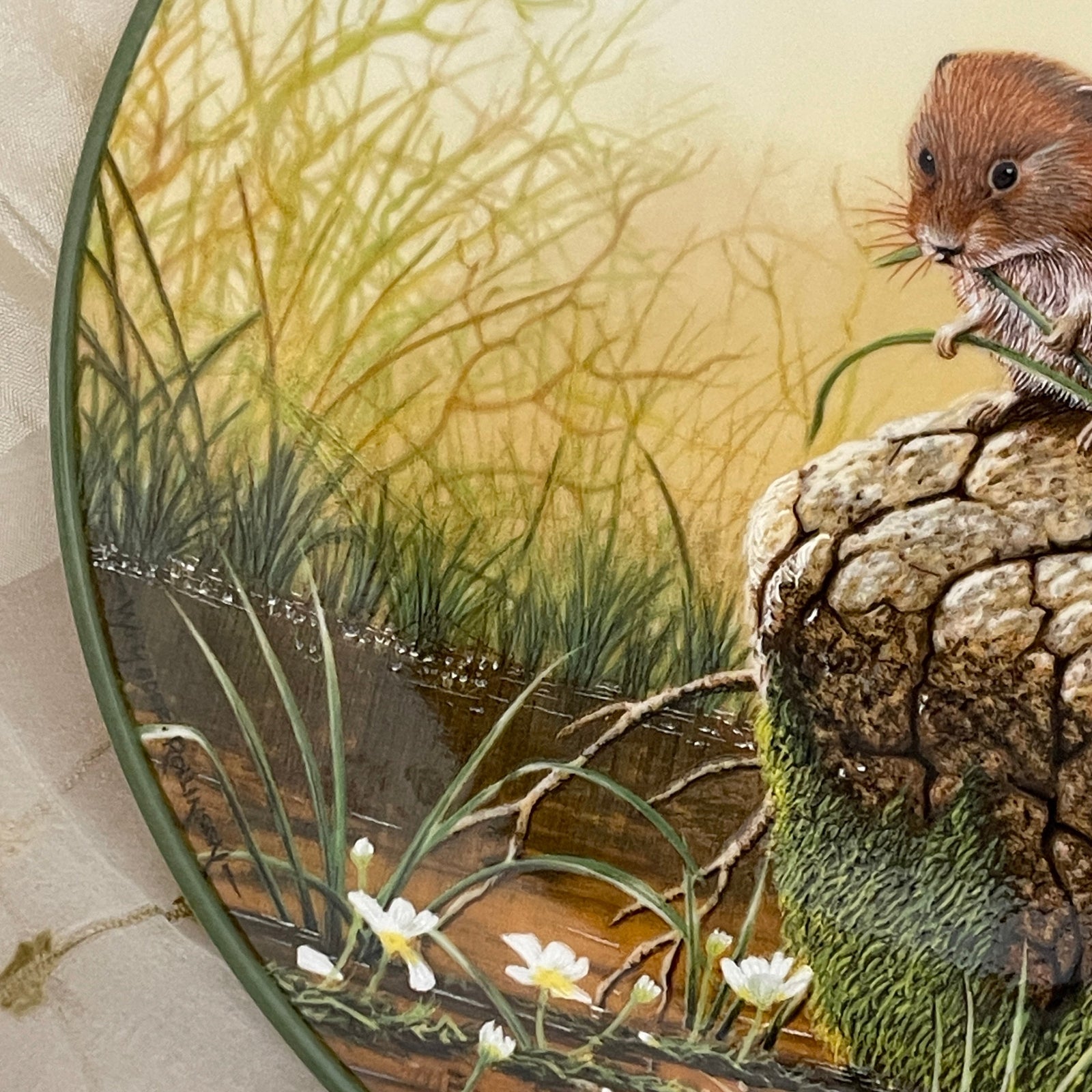 Illustration of a mouse on a stone with grass and water in the background