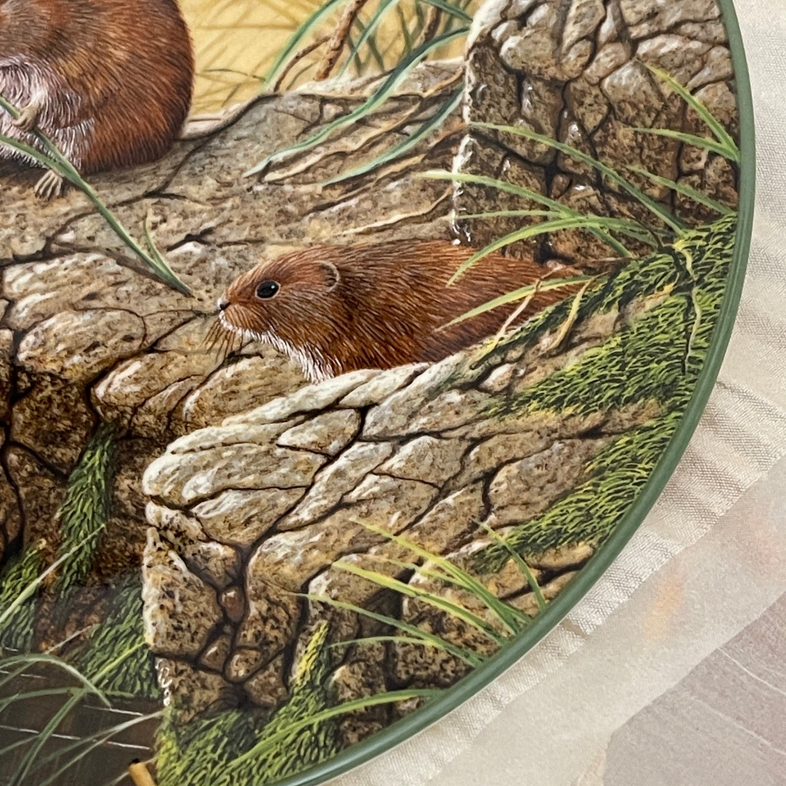 Illustration of a beaver among rocks and grass
