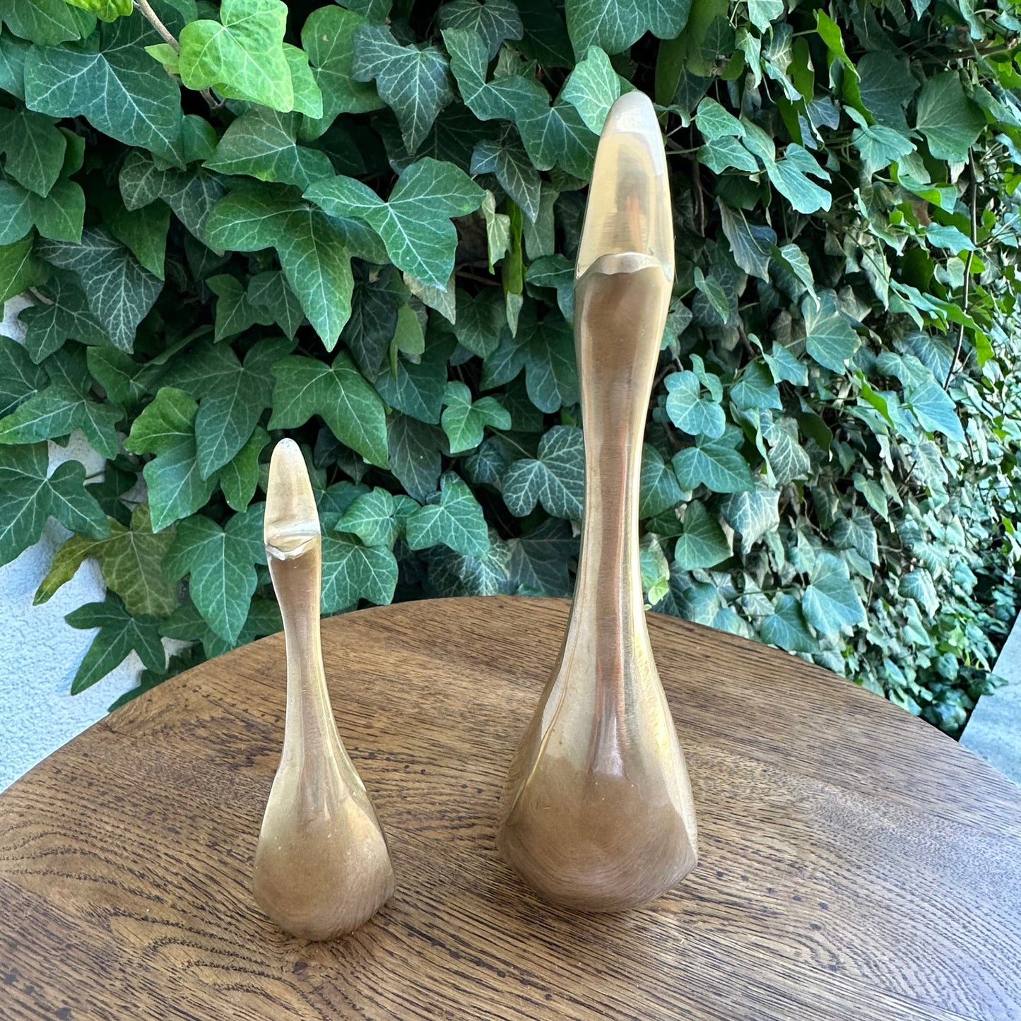 Two brass goose necks on a wooden surface with a green leafy background